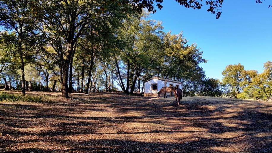 Finca La Liserilla Galaroza Kültér fotó